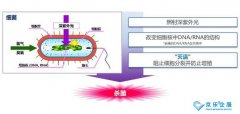 海信中央空調(diào)紫光盾殺菌模塊上市，健康技能加