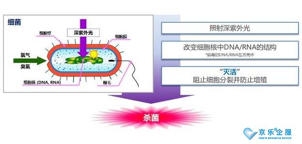 海信中央空調(diào)紫光盾殺菌模塊上市，健康技能加持升級-1